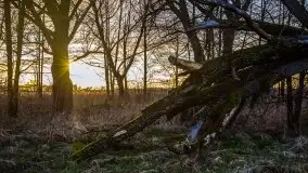 Okolice jeziora Patelnia i Kruklanek - zdjęcie 11