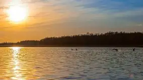 Jezioro Stręgiel skąpane w złocie zachodu słońca - zdjęcie 8