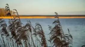 Okolice mostu Sztynorckiego, marzec 2020 - zdjęcie 24