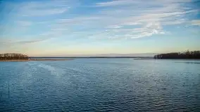 Okolice mostu Sztynorckiego, marzec 2020 - zdjęcie 28