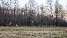 Okolice mostu Sztynorckiego, marzec 2020 - zdjęcie 43