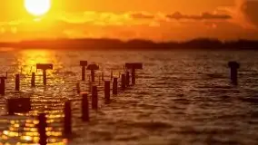 Złote Ogonki i jezioro Święcajty pierwszego dnia wiosny 2020 - zdjęcie 36