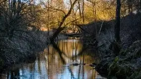 Zachód przy zwalony moście i jeziorze Patelnia, Kruklanki 03.2020 - zdjęcie 37