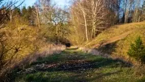 Zachód przy zwalony moście i jeziorze Patelnia, Kruklanki 03.2020 - zdjęcie 29