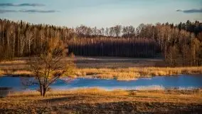 Zachód przy zwalony moście i jeziorze Patelnia, Kruklanki 03.2020 - zdjęcie 20