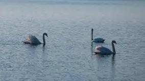 Marcowy zachód słońca nad jeziorem Dargin, Nowy Harsz - zdjęcie 50