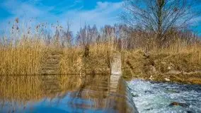 Jezioro Białoławki w marcowym słońcu - zdjęcie 32