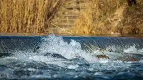 Jezioro Białoławki w marcowym słońcu - zdjęcie 34