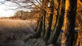 Kal i jezioro Mamry w marcowym słońcu - zdjęcie 5