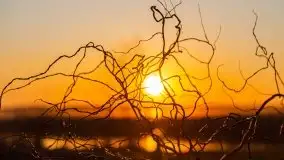 Kal i jezioro Mamry w marcowym słońcu - zdjęcie 17