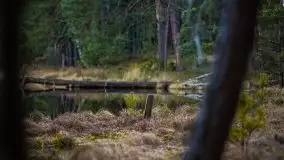 Jezioro Wesołek w marcu 2020 - zdjęcie 27