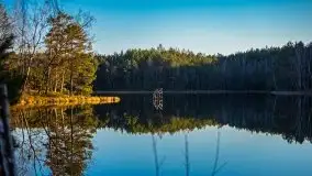 Jezioro Wesołek w marcu 2020 - zdjęcie 24