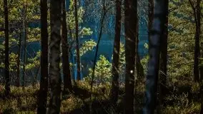 Jezioro Wesołek w marcu 2020 - zdjęcie 13