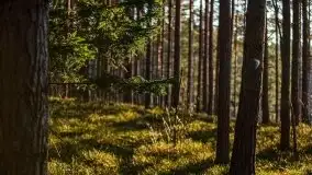 Jezioro Wesołek w marcu 2020 - zdjęcie 10