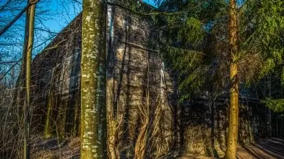 Mamerki i okolice pod koniec marca 2020