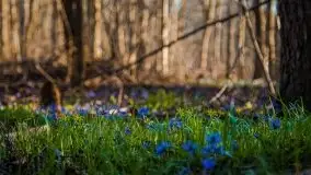 Mamerki i okolice pod koniec marca 2020 - zdjęcie 22