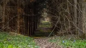 Mamerki i okolice pod koniec marca 2020 - zdjęcie 25