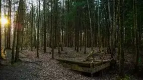 Mamerki i okolice pod koniec marca 2020 - zdjęcie 32