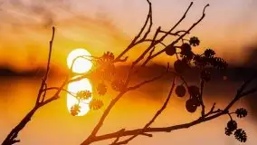 Wschód nad jeziorem Stręgielek, marzec 2020 - zdjęcie 29