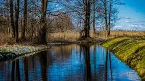 Kanał Szymoński w marcu 2020 - zdjęcie 17