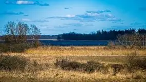 Kanał Szymoński w marcu 2020 - zdjęcie 41