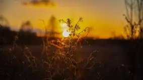 Jezioro Tałtowisko i kanał Grunwaldzki o zachodzie słońca - zdjęcie 5