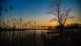 Jezioro Tałtowisko i kanał Grunwaldzki o zachodzie słońca - zdjęcie 8