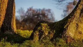 Pierkunowo i jezioro Kisajno w kwietniowym słońcu - zdjęcie 10