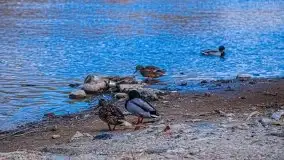 Pisz w kwietniowych promieniach słońca - zdjęcie 31