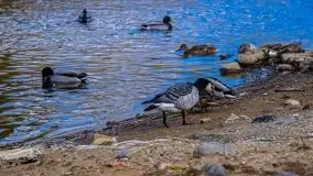 Pisz w kwietniowych promieniach słońca - zdjęcie 30