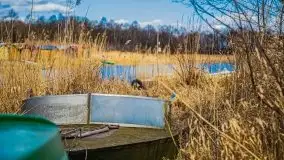 Pisz w kwietniowych promieniach słońca - zdjęcie 17