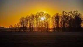 Odkrywamy na Mazurach jezioro Gawlik i Sołtmany - zdjęcie 31