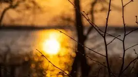 Złote jezioro Dejguny w kwietniowym słońcu - zdjęcie 15