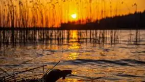 Złote jezioro Dejguny w kwietniowym słońcu - zdjęcie 44