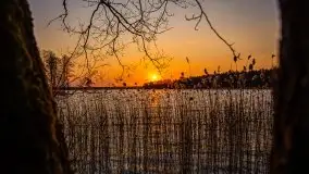 Złote jezioro Dejguny w kwietniowym słońcu - zdjęcie 47