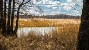 Śluza Karwik na początku kwietnia 2020 - zdjęcie 14