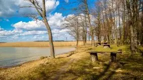 Śluza Karwik na początku kwietnia 2020 - zdjęcie 39