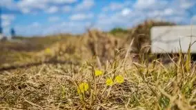 Śluza Karwik na początku kwietnia 2020 - zdjęcie 34