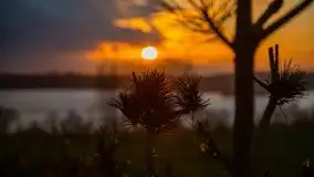 Zachód słońca na jeziorami Węgielsztyn i Rydzówka - zdjęcie 22