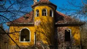 Ruiny Pałacu w Mieduniszkach Wielkich - zdjęcie 19