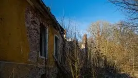 Ruiny Pałacu w Mieduniszkach Wielkich - zdjęcie 24