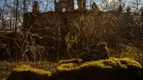 Ruiny Pałacu w Mieduniszkach Wielkich - zdjęcie 28