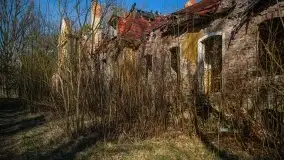 Ruiny Pałacu w Mieduniszkach Wielkich - zdjęcie 37