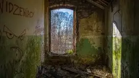 Ruiny Pałacu w Mieduniszkach Wielkich - zdjęcie 51