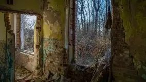 Ruiny Pałacu w Mieduniszkach Wielkich - zdjęcie 56