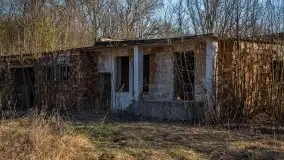 Ruiny Pałacu w Mieduniszkach Wielkich - zdjęcie 75