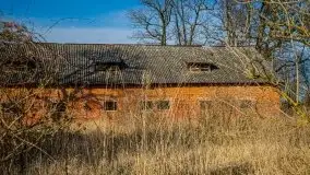 Ruiny Pałacu w Mieduniszkach Wielkich - zdjęcie 78