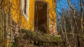 Ruiny Pałacu w Mieduniszkach Wielkich - zdjęcie 103