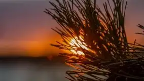 Zachód słońca nad jeziorem Jędzelewo, Stare Juchy - zdjęcie 30