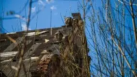 Wopławki - piękny pałac i zagadkowa kaplica - zdjęcie 17